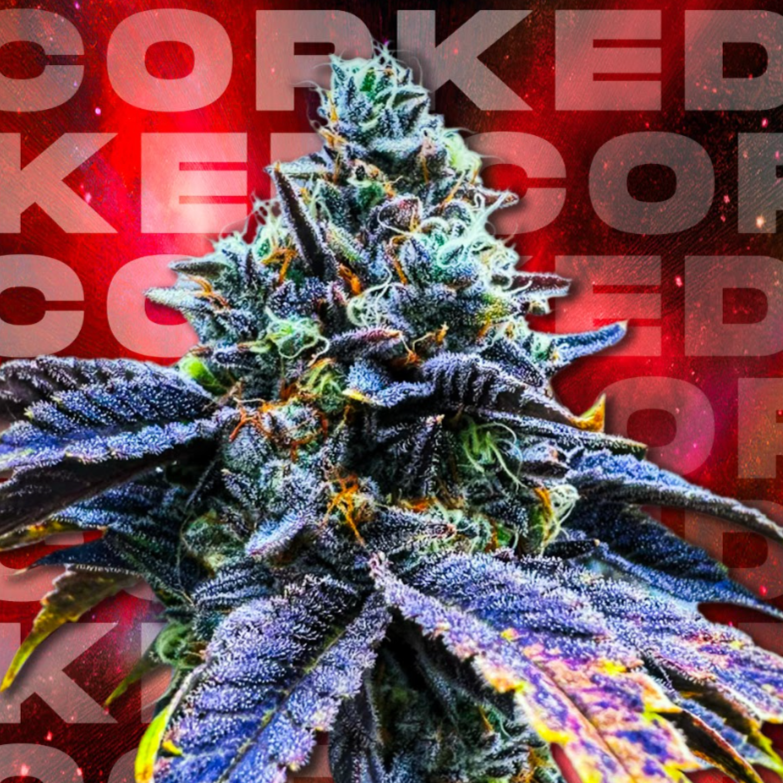 Corked