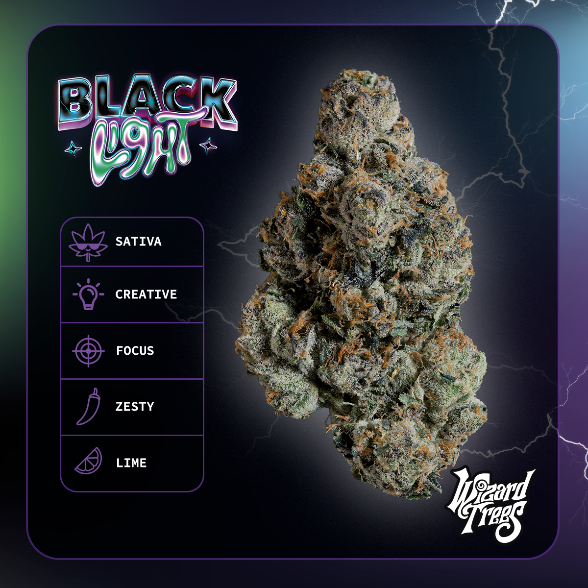 Blacklight
