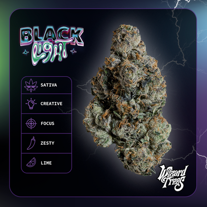 Blacklight