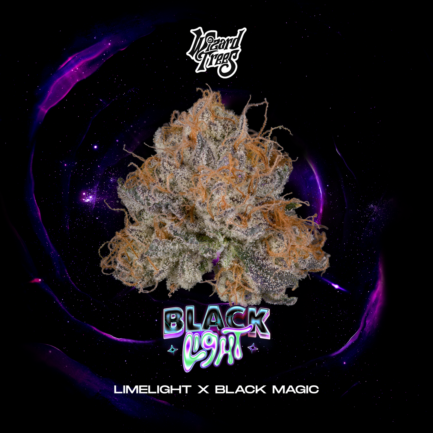 Blacklight