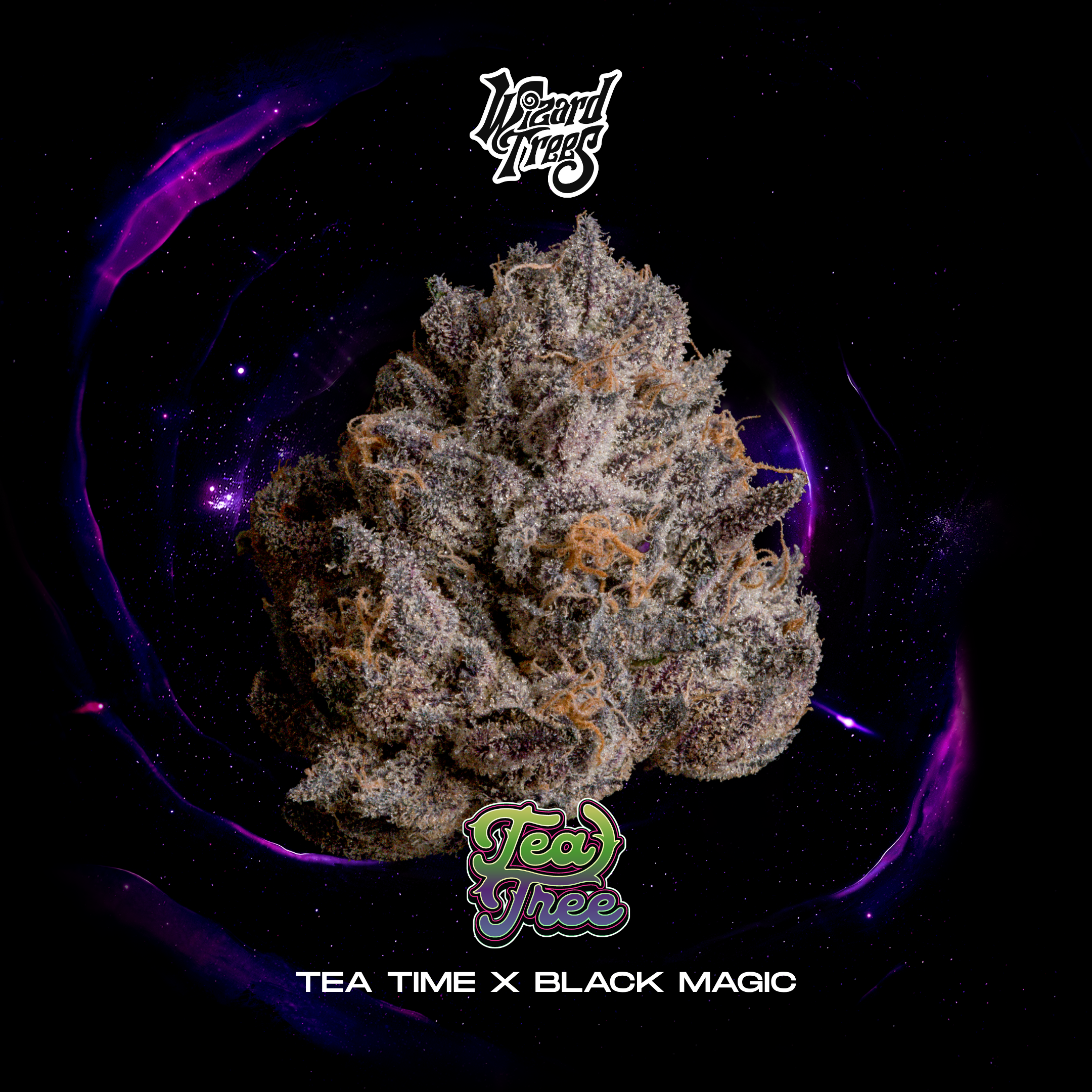 Wizard Trees Genetics