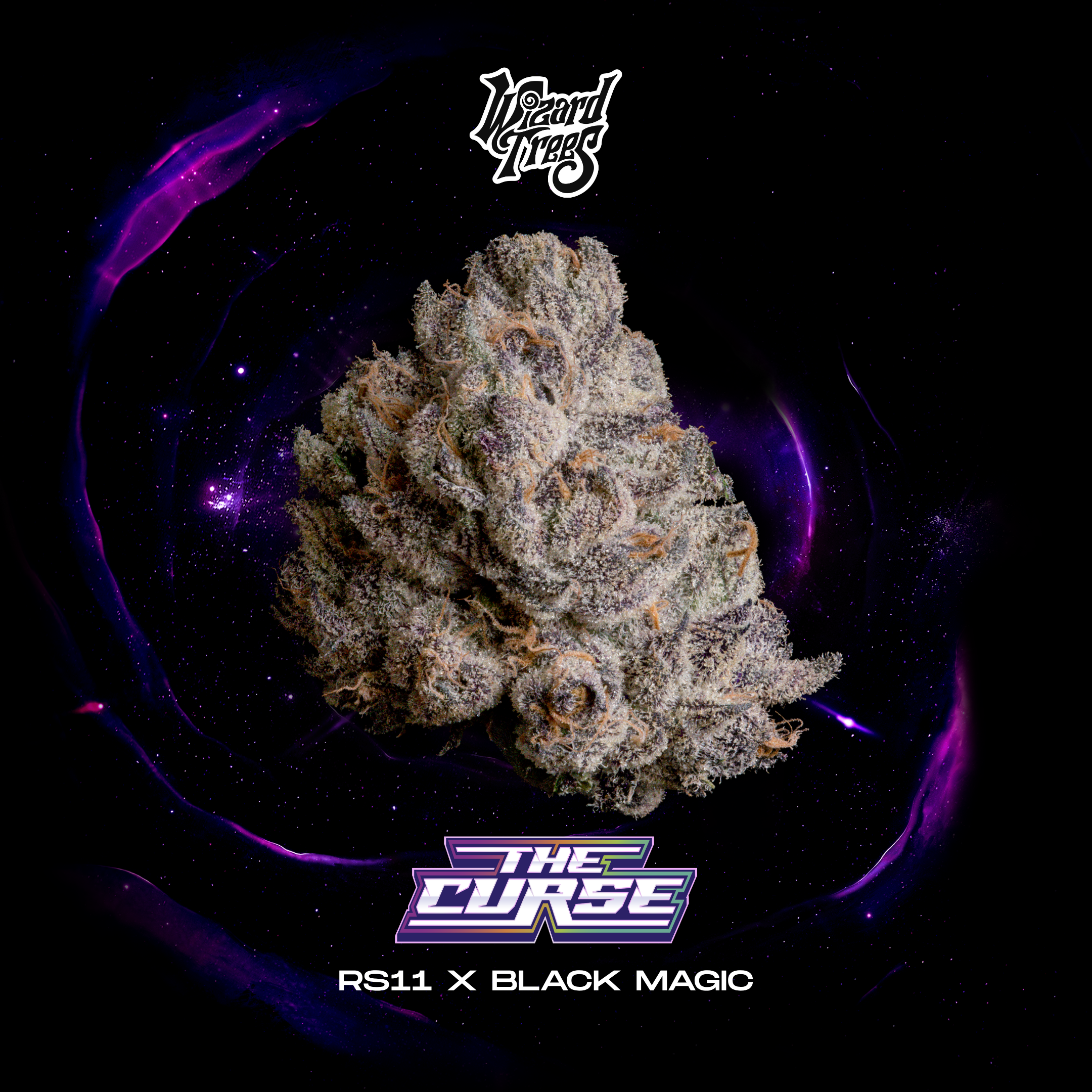 Wizard Trees Genetics